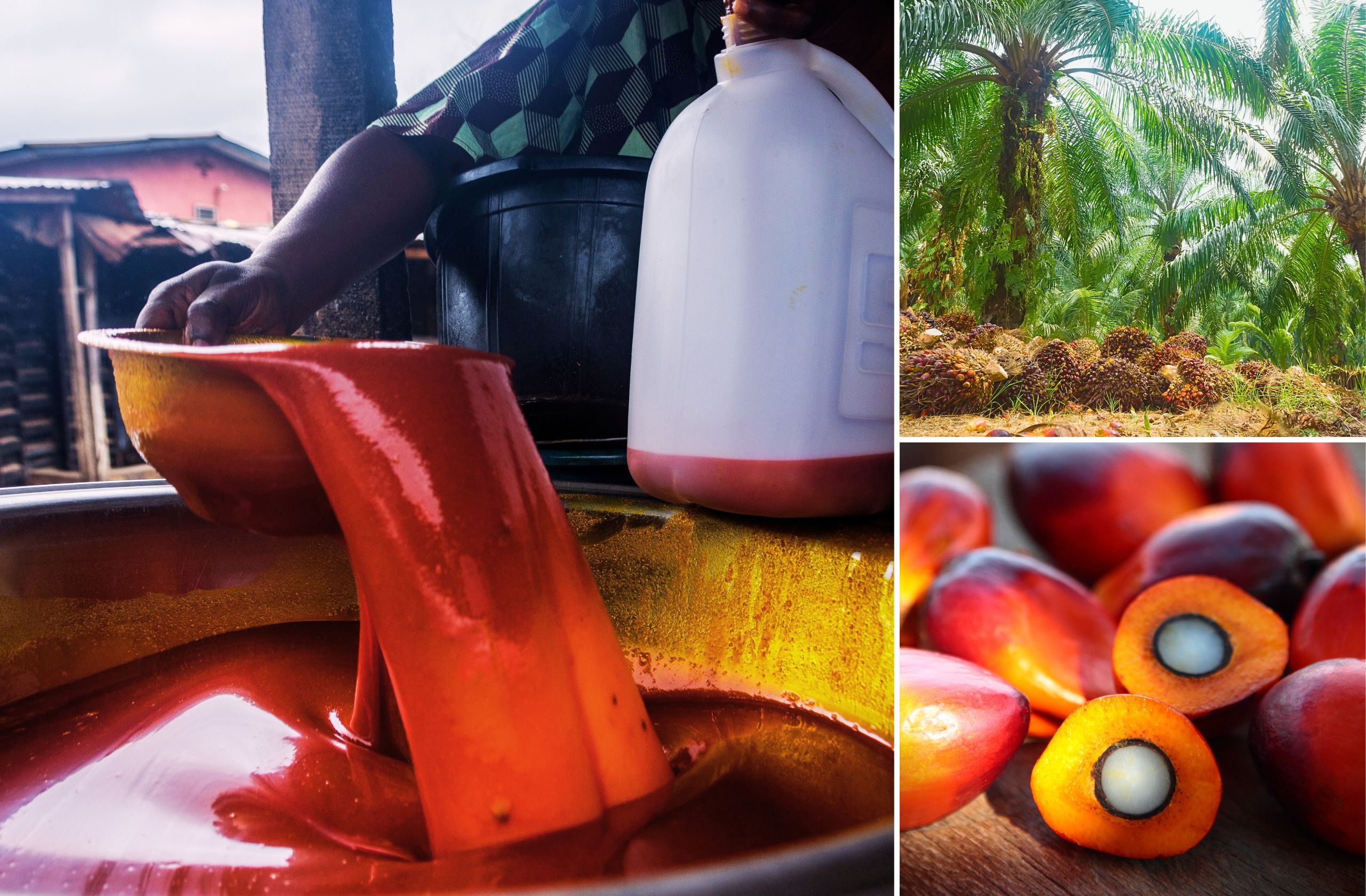 west african palm oil